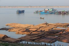 63-Bamboo in the Irrawaddy River